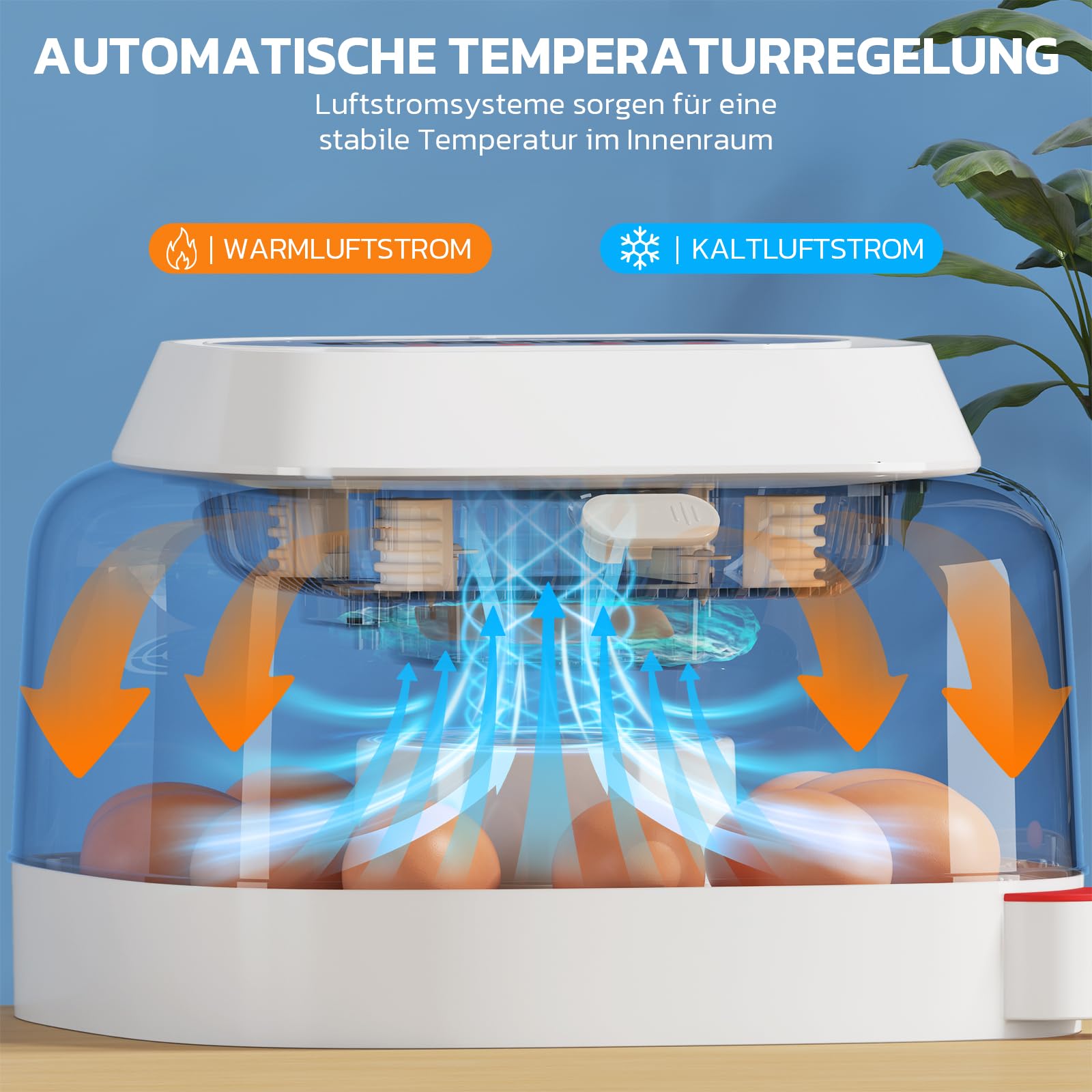 Sailnovo Incubadoras de huevos para incubar, 12 huevos, incubadora para huevos de gallina con 4 modos, visión de 360°, incubadora de huevos con giro automático y control de temperatura, Azul