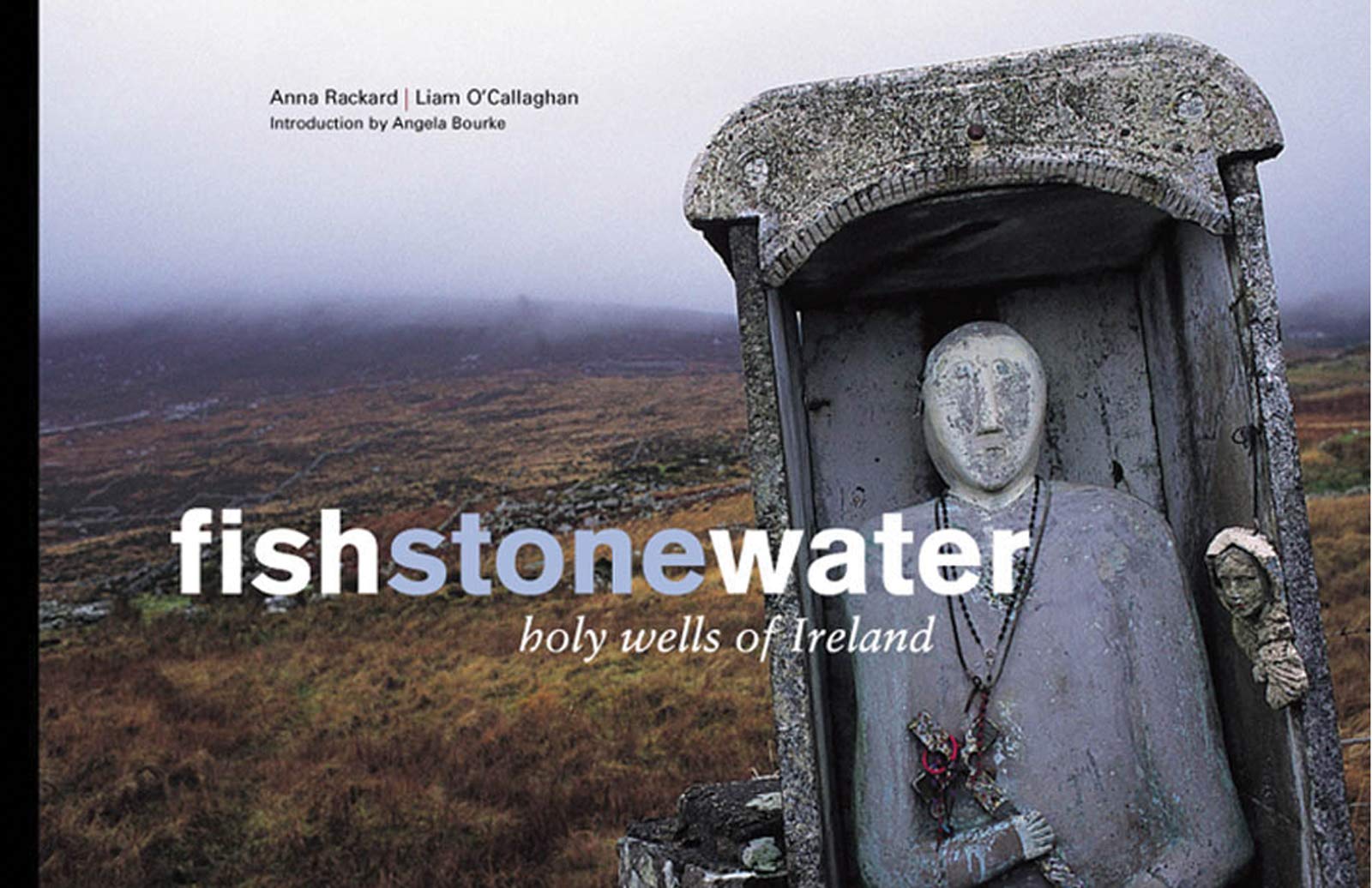 Fish Stone Water Holy Wells of Ireland Culture Celtique Mythologie et Histoire