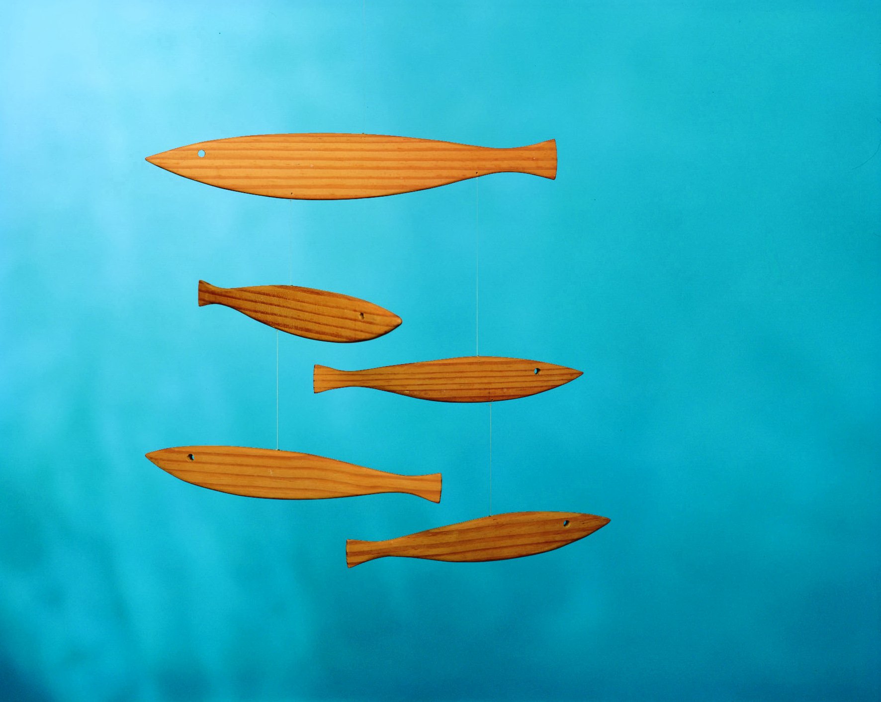 Amazon.co.jp: Flensted Mobiles（フレンステッドモビール社）Floating