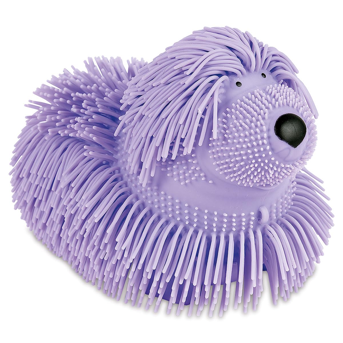 Amazon.com: Lillian Vernon Puffer Dog, Purple Rubber Dog