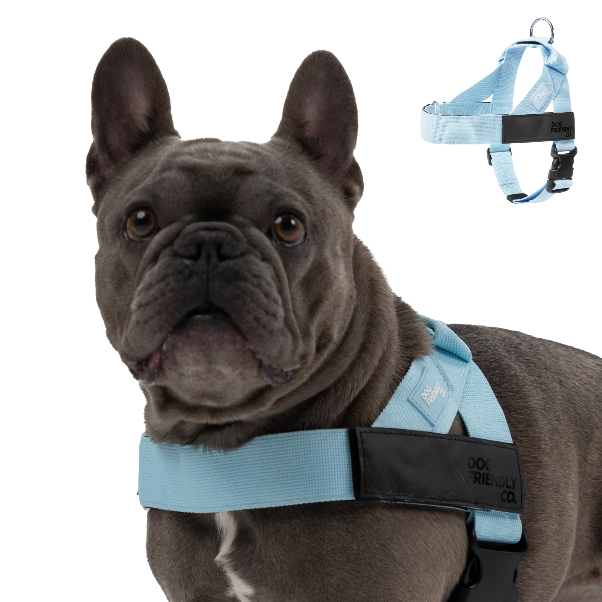 Dog Friendly Co. Step-In Harness
