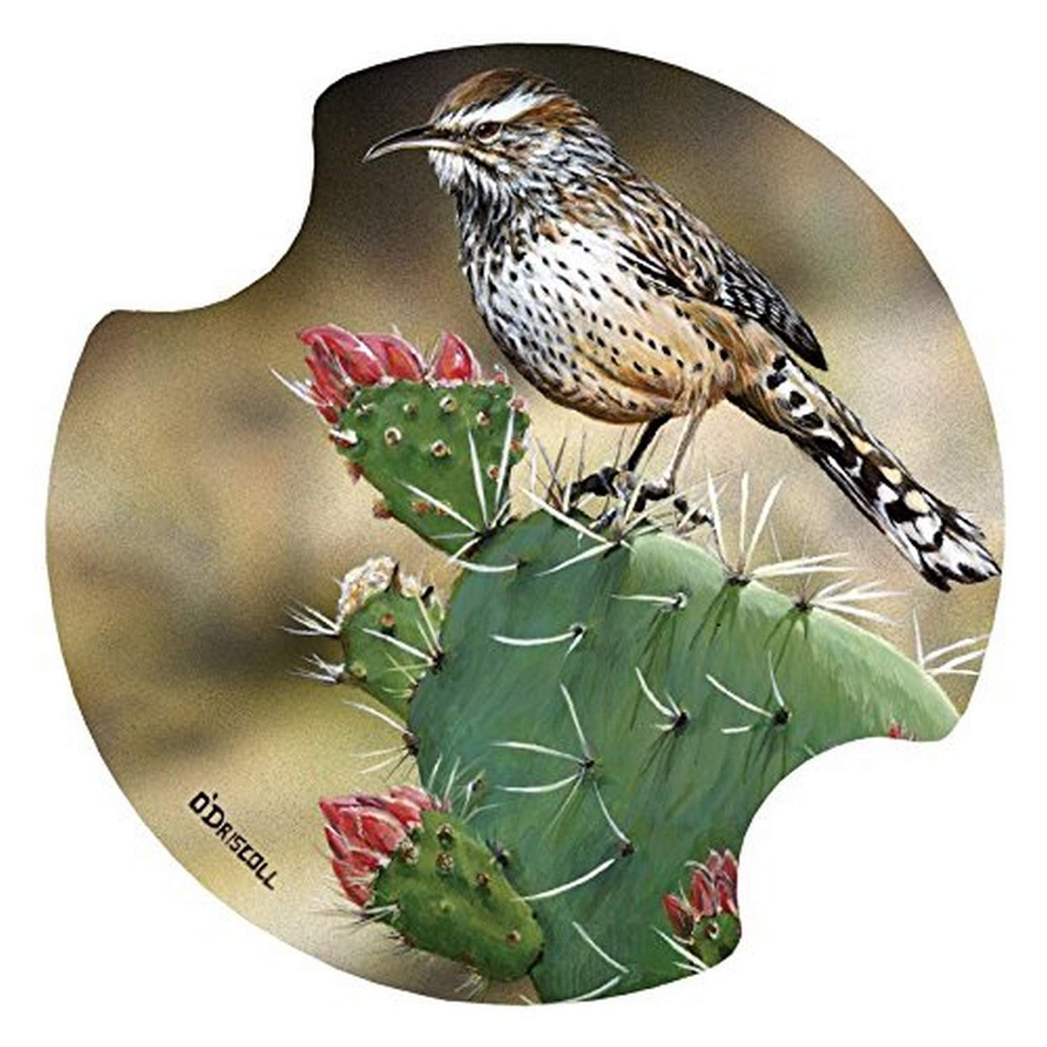 Thirstystone Carster Cactus Wren Coasters, Multicolor