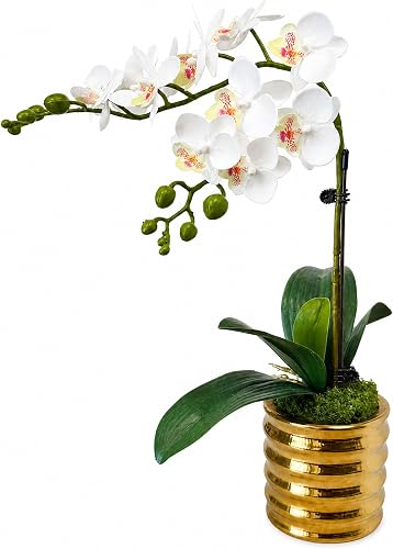 Orchids Artificial Flowers, 17" Faux Orchid in Gold Flower Pot Real Touch Flowers in Pot Large Flower Arrangements Artificial Centerpiece for Home Living Room Bathroom Kitchen Decoration