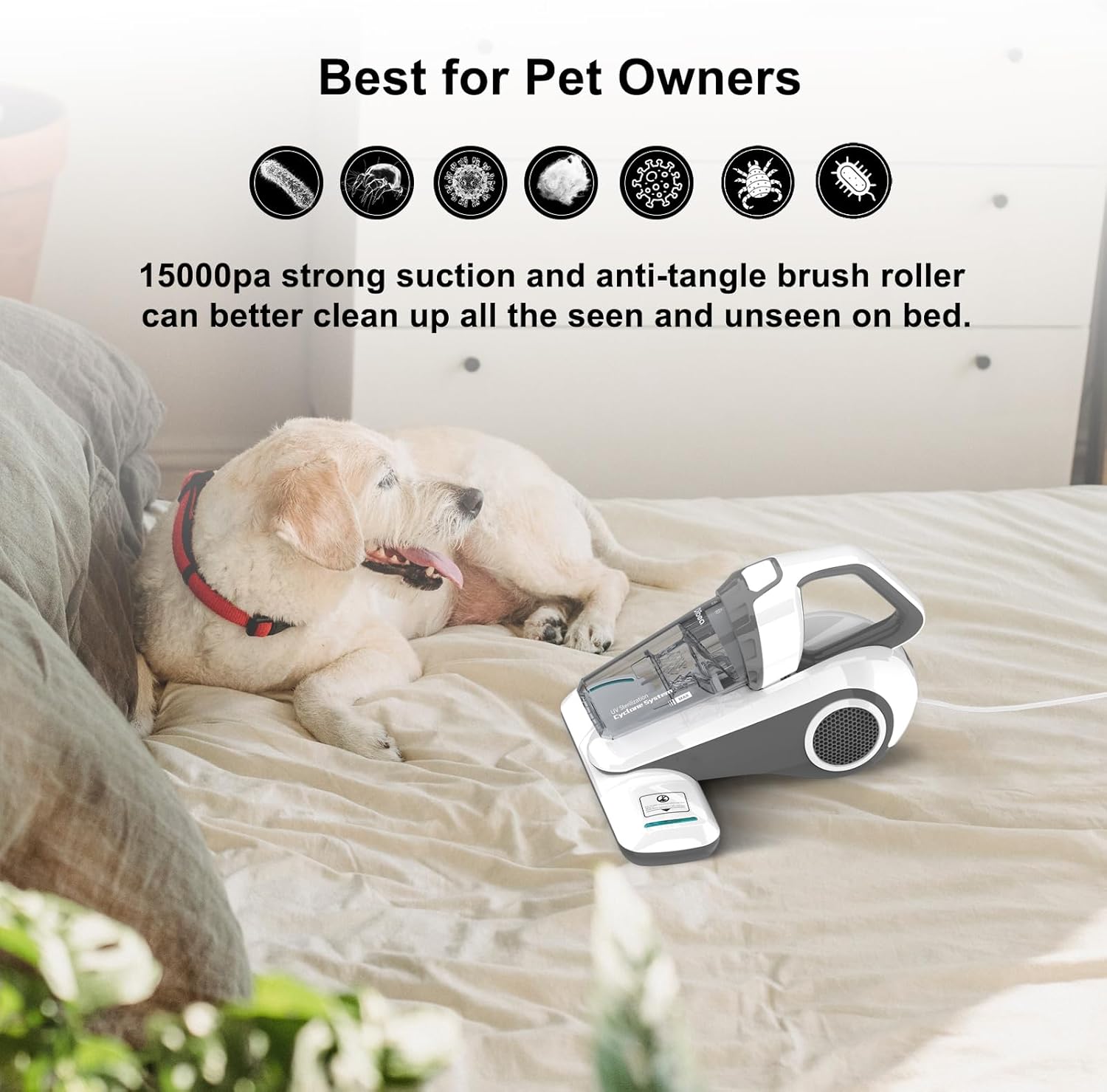 A small white dog on a bed with the Dibea vacuum cleaner, illustrating its use for pet owners