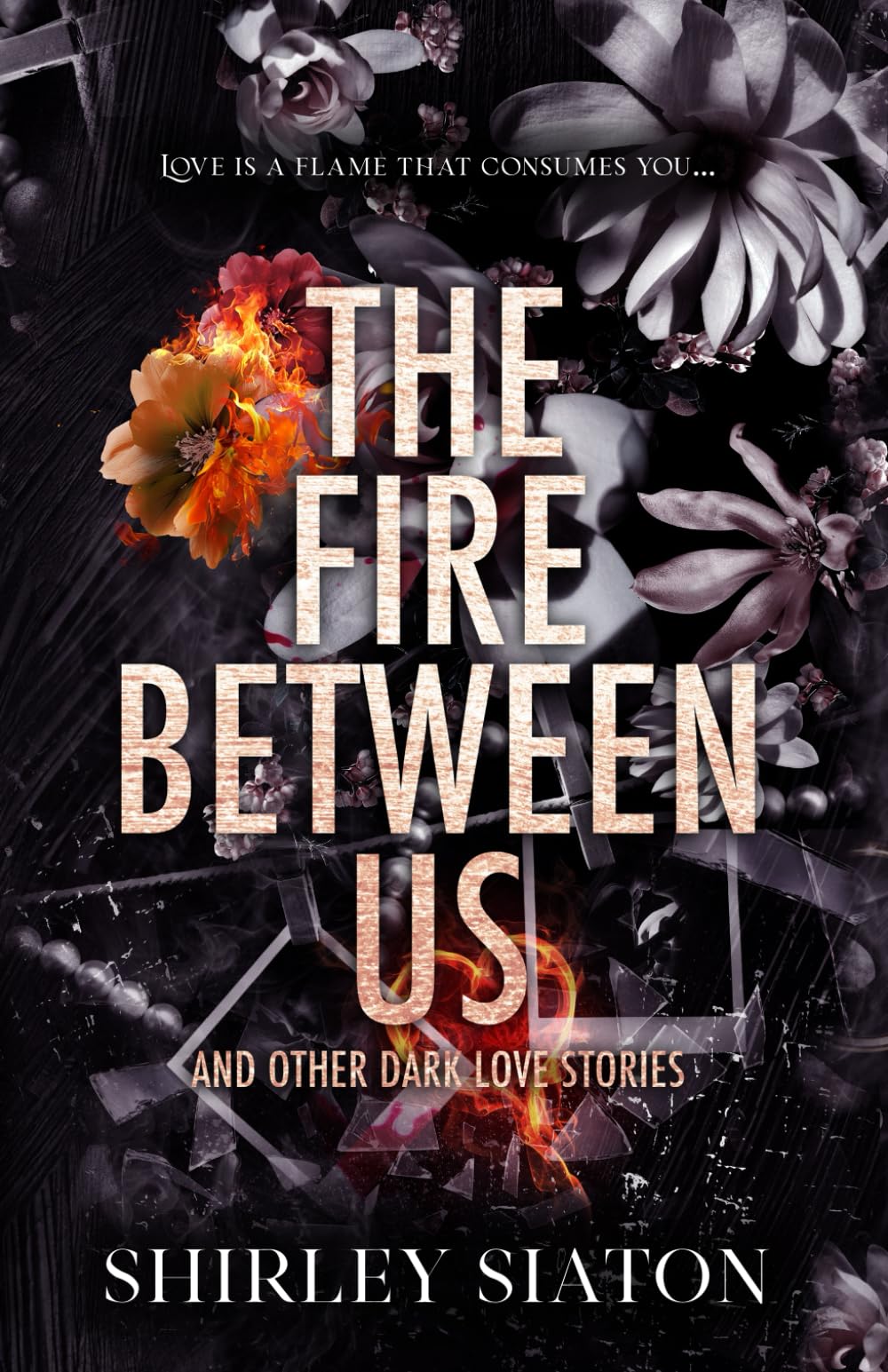 The Fire Between Us (The Discreet Edition) (Under the Covers: Midnight Hearts)
