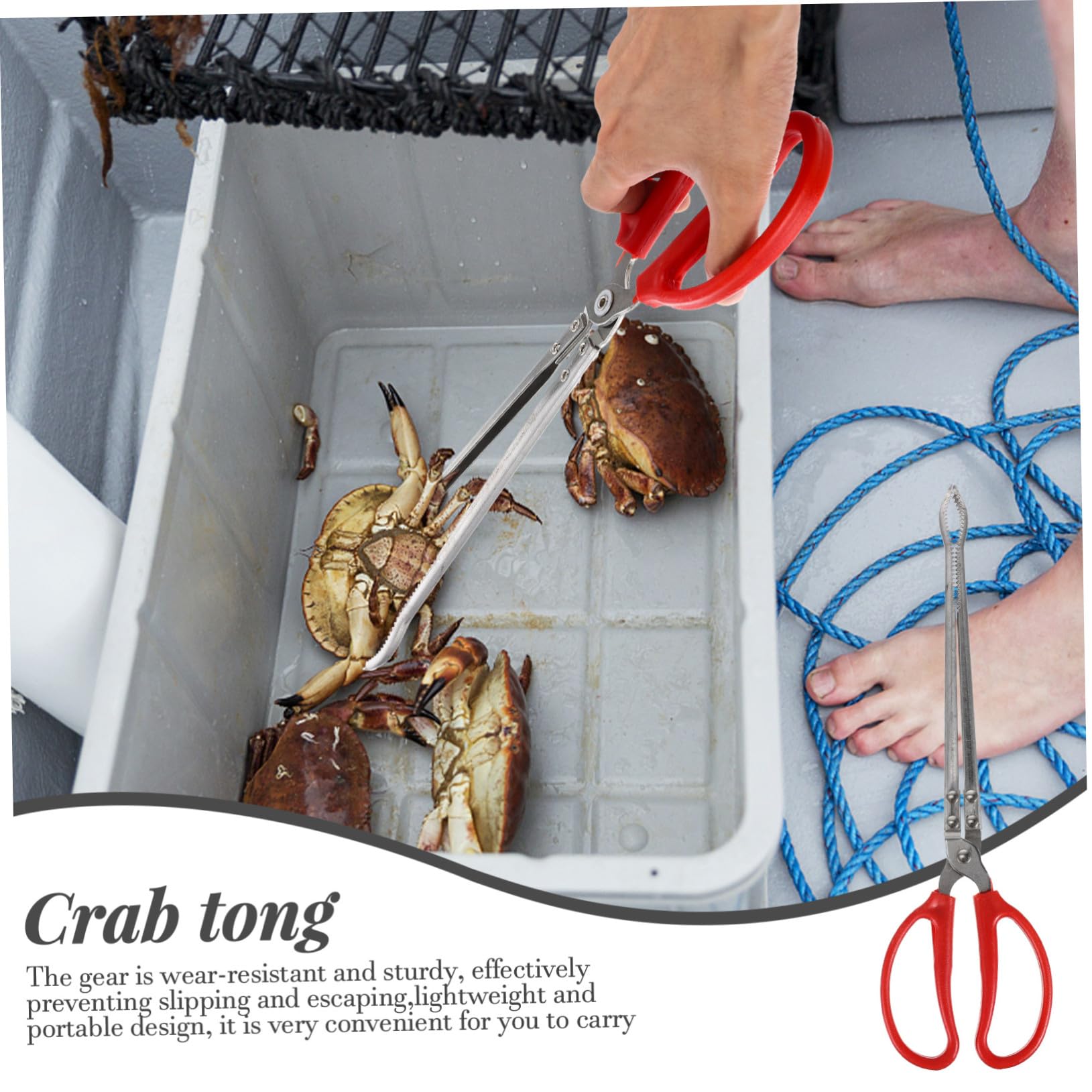 Pince à Crabes Portable en Acier Inoxydable, Légère et Antidérapante