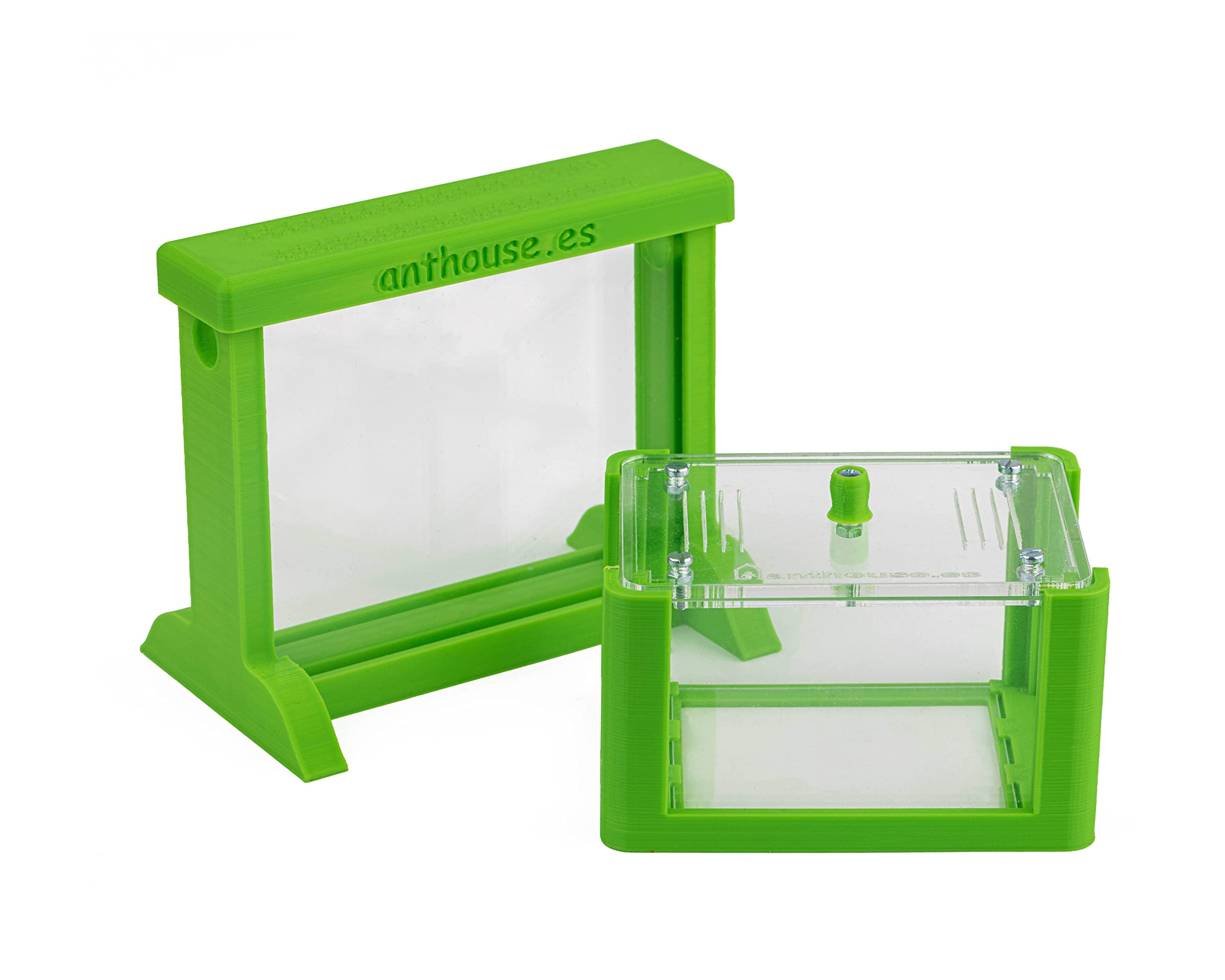 Anthouse - Hormiguero Natural de Arena Básico- Terrario 3D de Hormigas con Colonia Incluida - Kit Hormiguero Acrílico Tipo Sándwich (12x10x1 cm), Caja de Forrajeo con Tapadera (18x10x5 cm) - Verde - 5