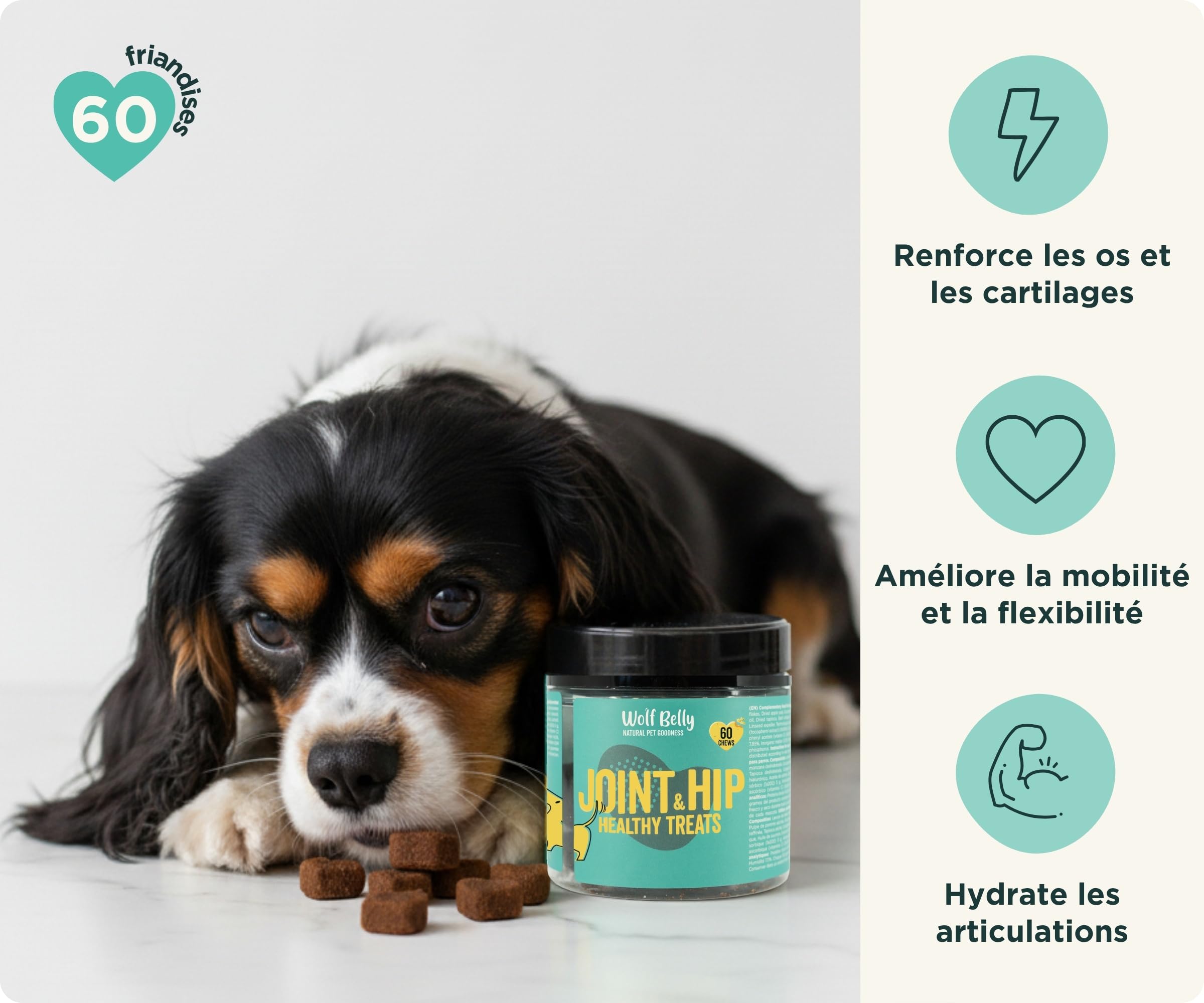 Wolf Belly - Pack Chondroprotecteur pour Chiens | Complément Articulaire en Poudre + Friandises à l’Acide Hyaluronique | Articulations Fortes | Anti-inflammatoire - Fabriqué en Europe