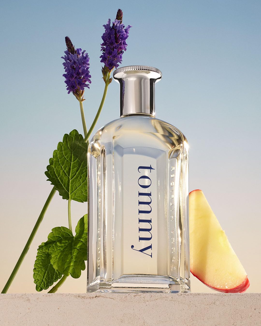 Tommy Hilfiger – Eau de Toilette Tommy 100 ml – Profumo Uomo – Fragranza Fougère – Note Agrumate e Fruttate – Flacone in Vetro Trasparente