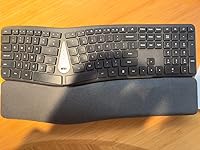 Review Image by Shiqi Yang Shiqi Yang