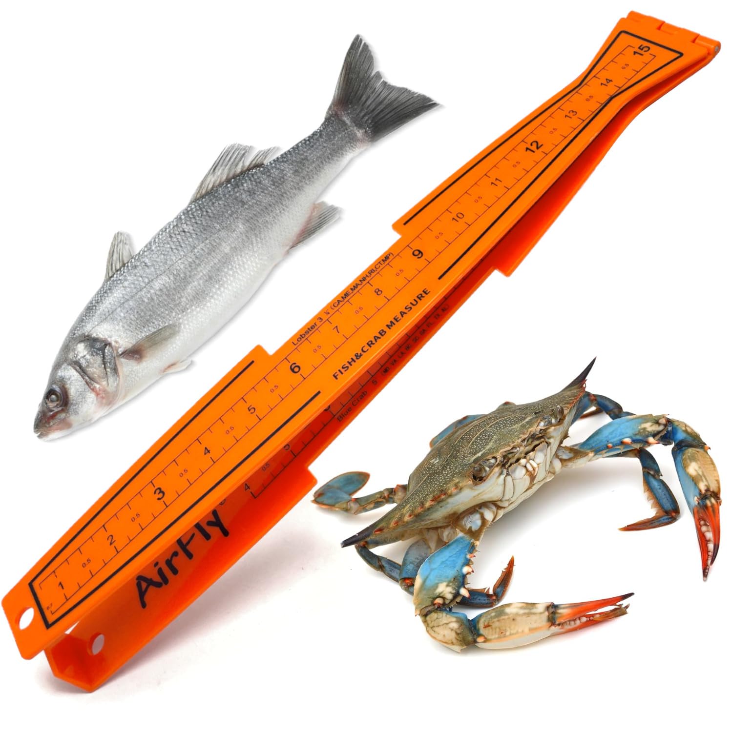 健康管理・計測計 SKYLINE Floating Natural Bamboo Pad AirFly Fish Measuring Board 32 Inch Foldable Bump Board - Built-in