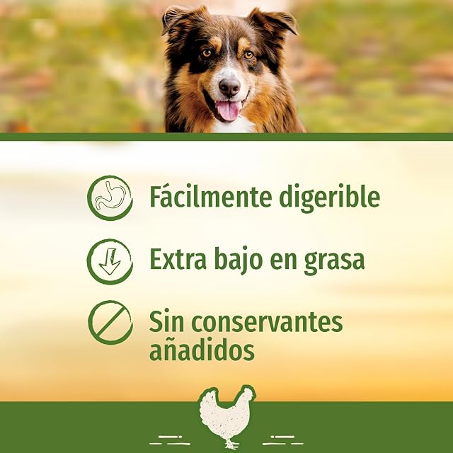 Foto 3 de 8 de SmartBones Huesos Masticables - Snack masticable con sabor pollo para perros de todos los tamaños, huesos…