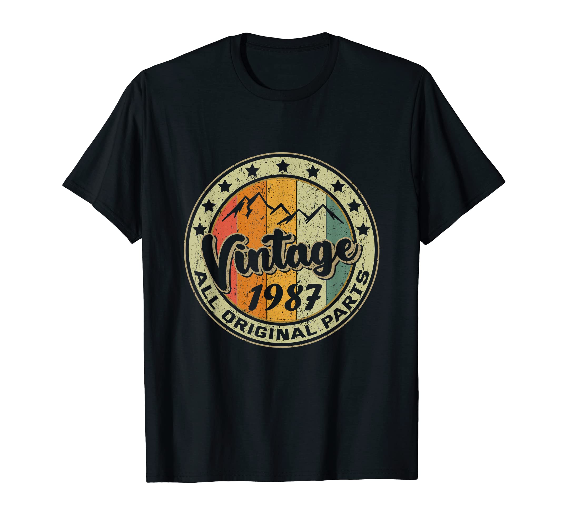 Vintage 1987 Retro 38 Year Old Gift 38th Birthday T-Shirt