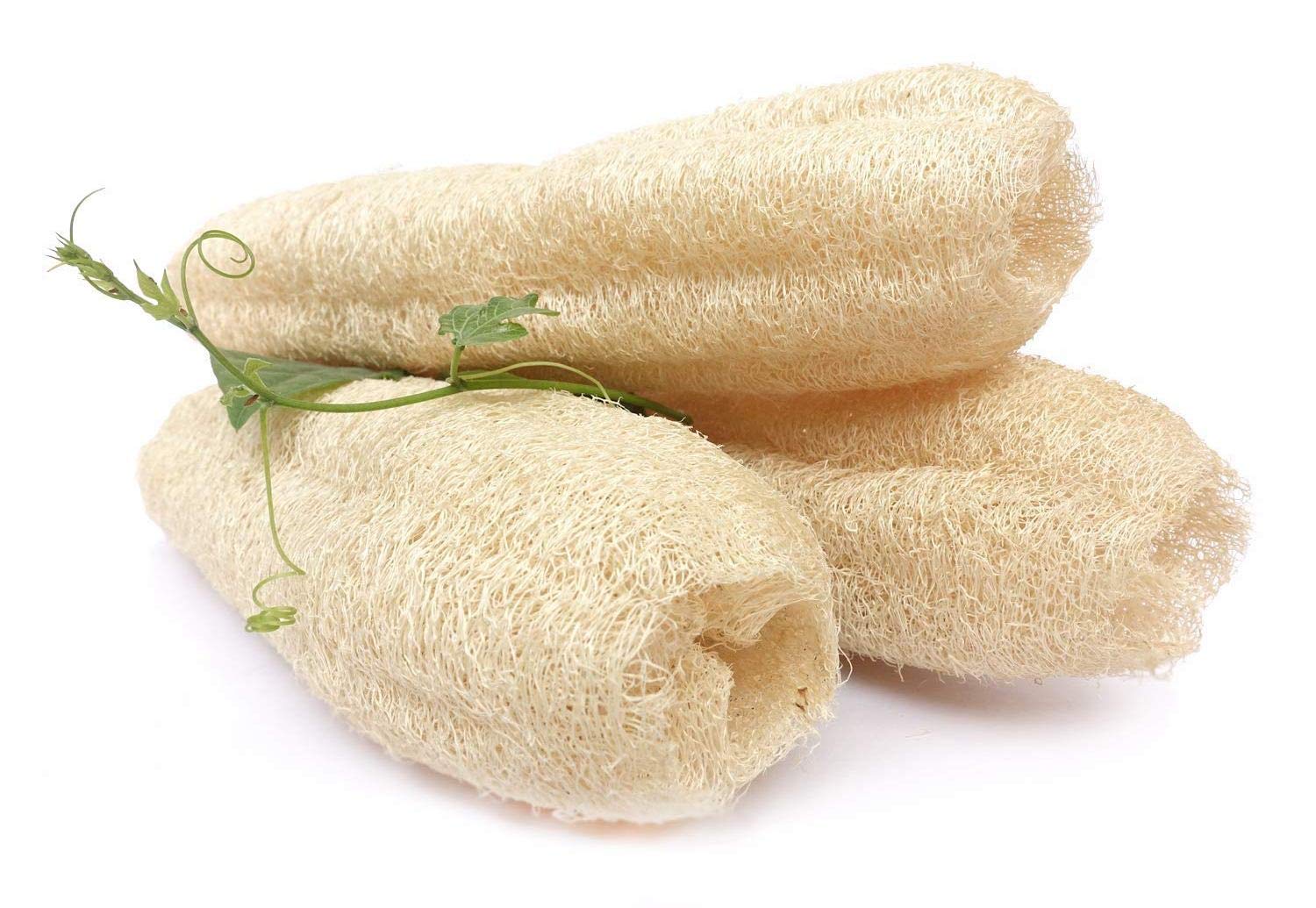 BEAU STUTI 100% Natural Organic Body Scrubber Loufah Sponges for Bathing Big Size Made with Natural Ridge Guard Fiber Pack of 3 (Purul)