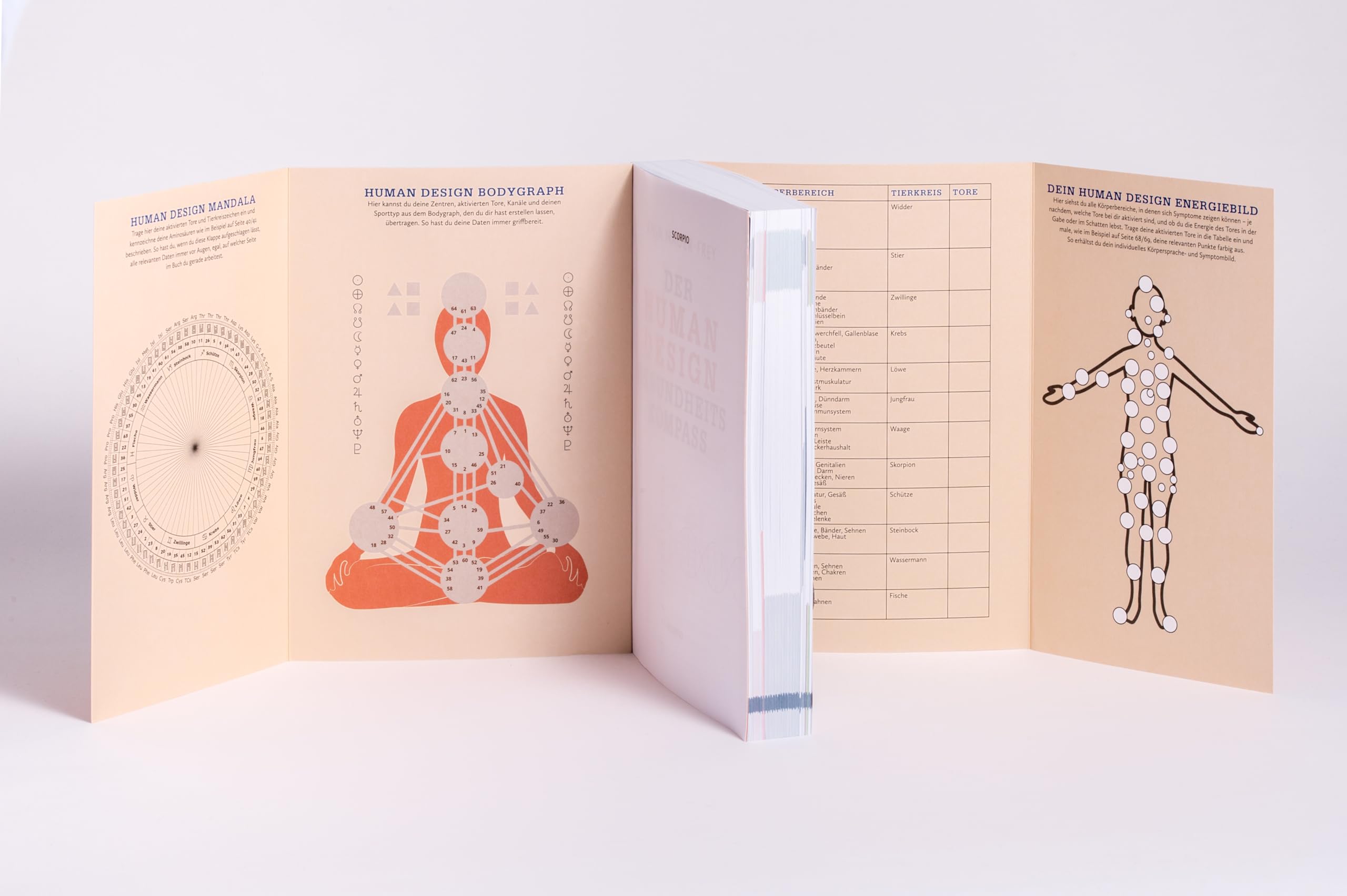 Der Human Design Gesundheitskompass: Das große Kompendium