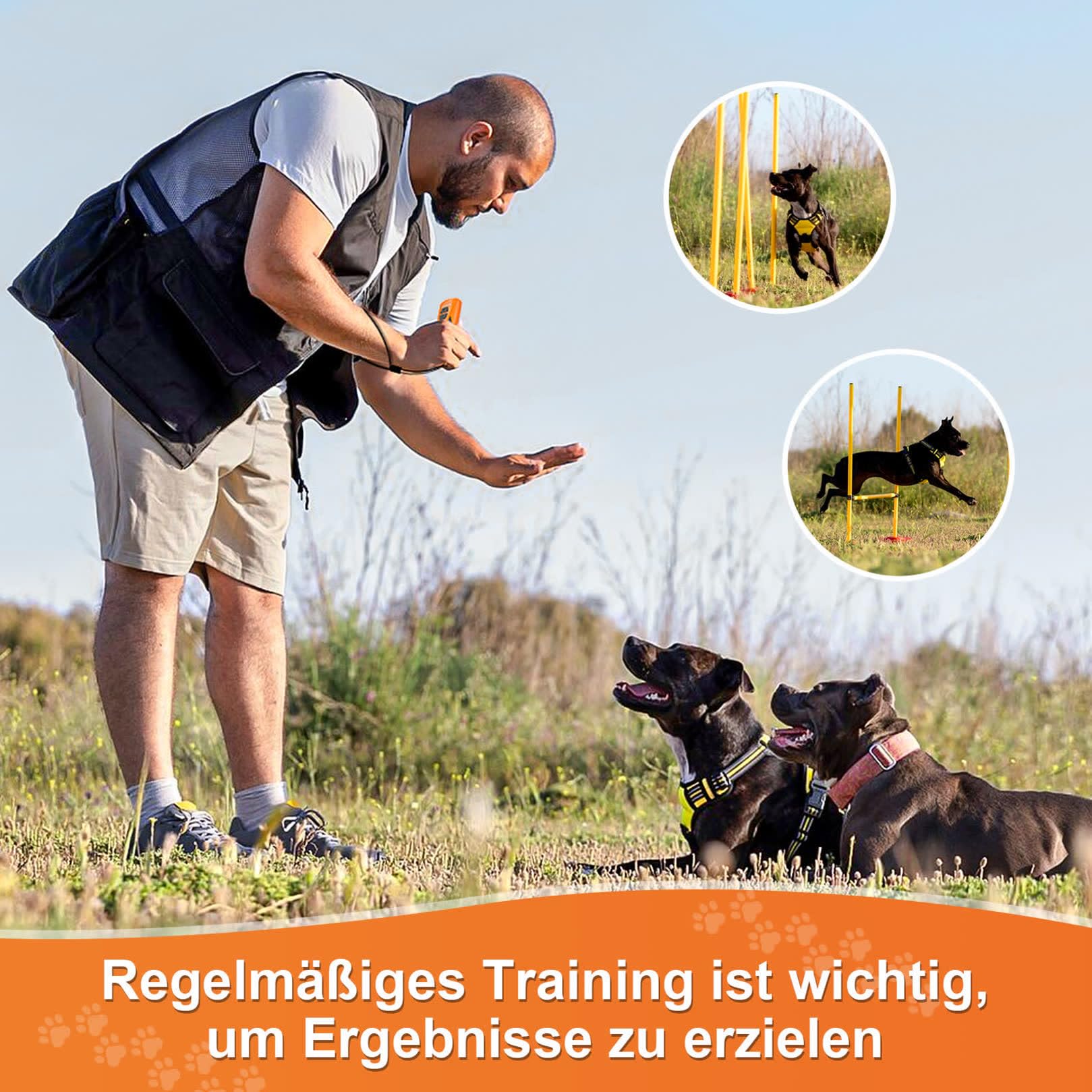 Dispositivo antiladridos para Perros, Dispositivo disuasorio ultrasónico antiladridos para Perros, 26032201002 from de 02 Orange