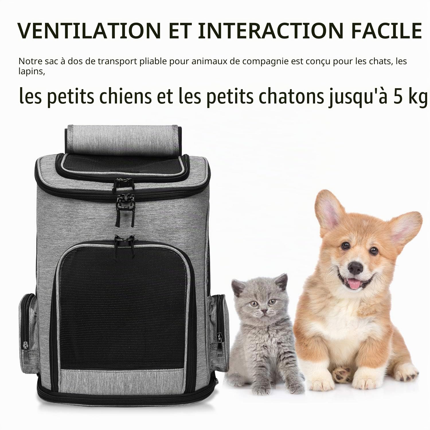 PETCUTE Sac à Dos pour Chien et Chat - Transport pour Petit Animaux Respirant Pliable, Gris