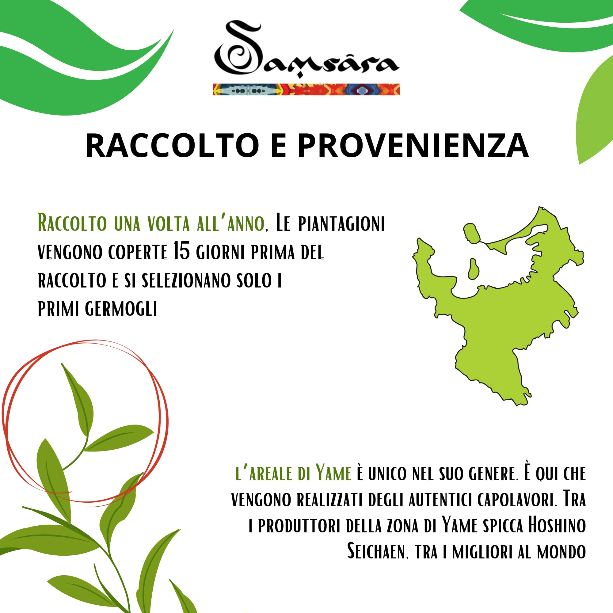 Samsara Kit Matcha Cerimoniale Grado IMPERIALE Premium | Raccolto a Mano in Giappone a YAME Fukuoka, Macinato a Pietra | NO Cottura Vapore | Testato EGCG | NO Glutine | NO Additivi (KIT MATCHA 25G)