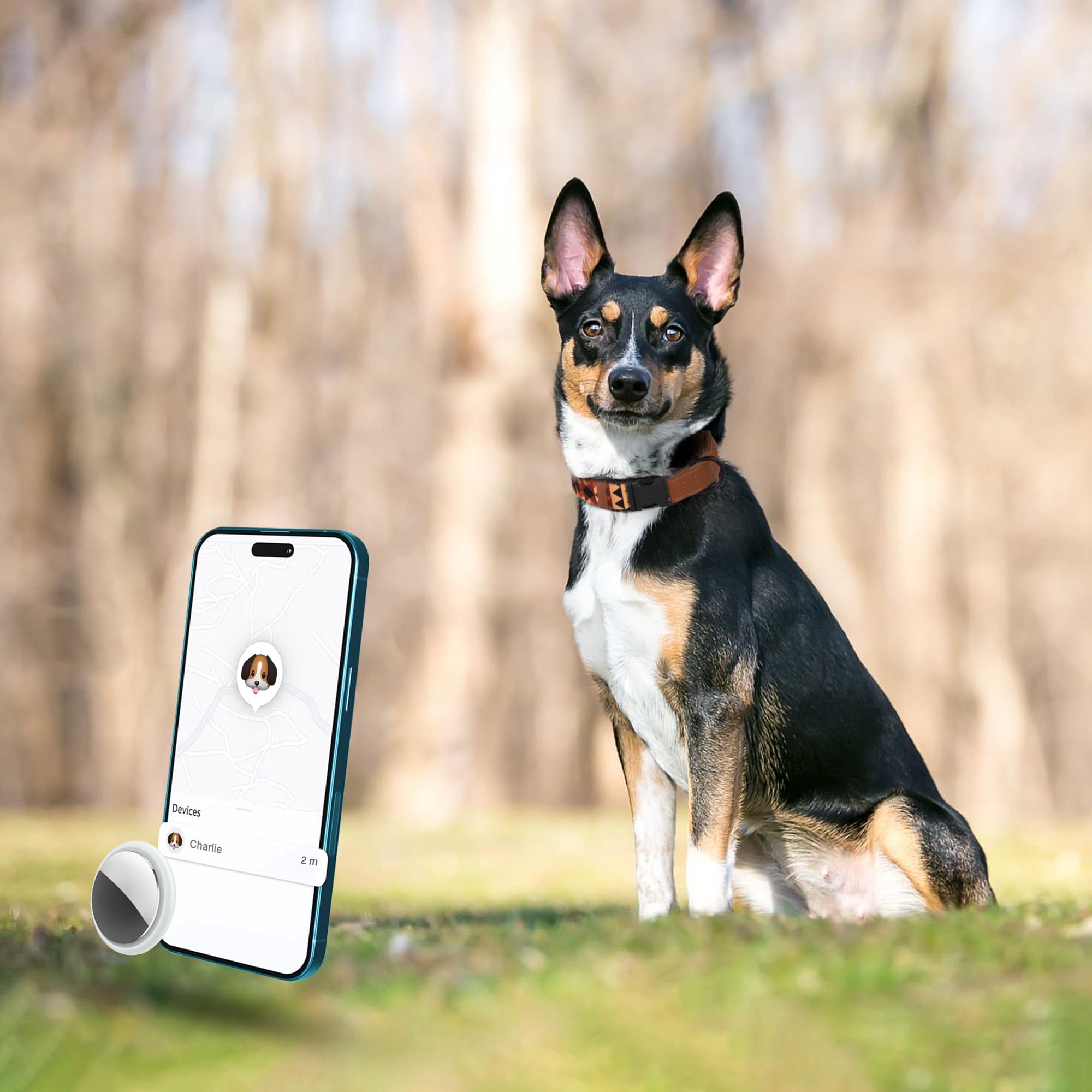 AirTag – Collier pour chien avec boucle en métal – Collier pour chien en cuir souple imprimé avec support Apple AirTag – Collier GPS de suivi sécurisé pour animaux de compagnie pour fille, garçon