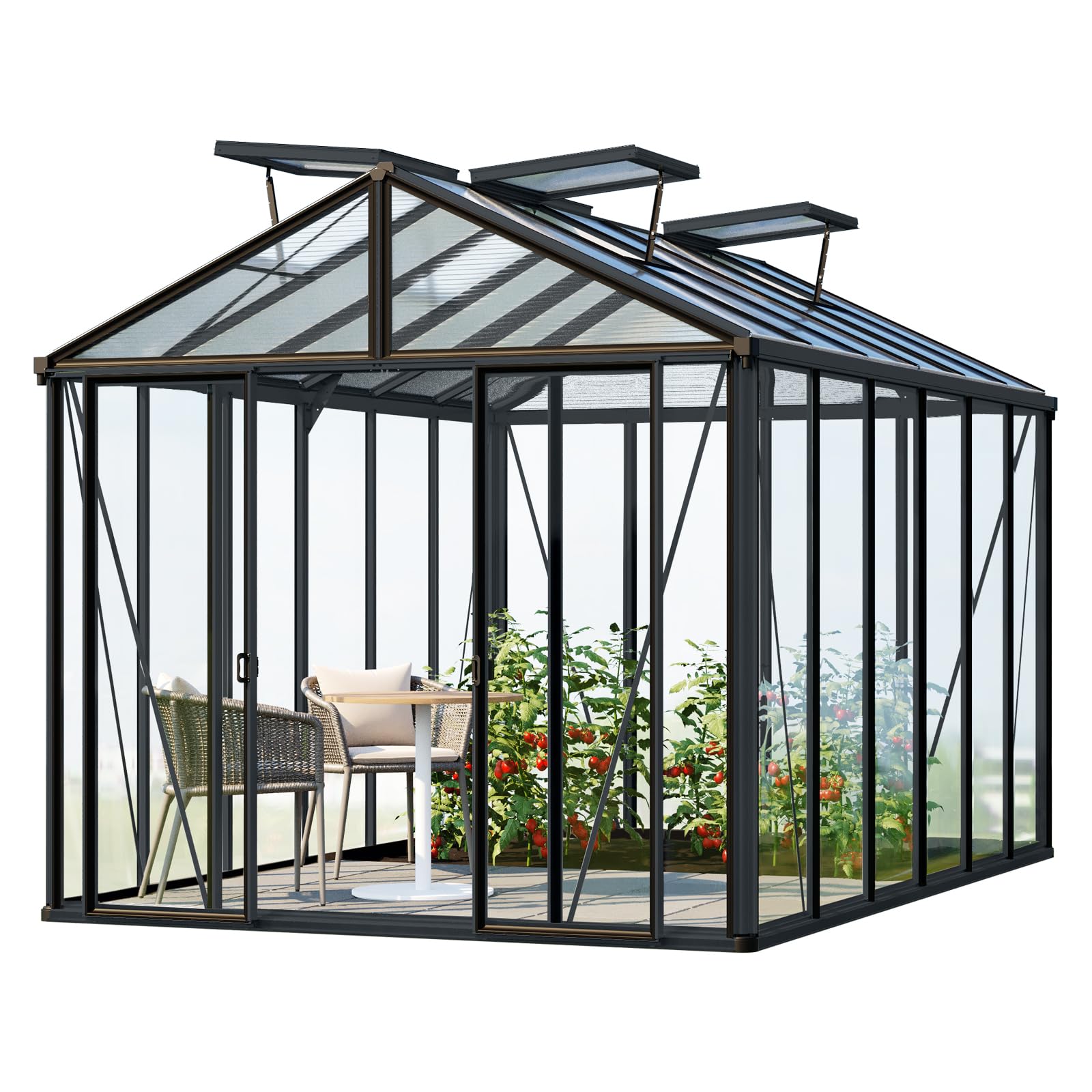 GFP Gewächshaus Hera 6 Glasgewächshaus 263x388 cm | Aluminium-Rahmen Farbe Anthrazit
