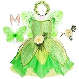 Fairy Costume for Birthday Party Halloween Costume Girls Princess Dress and Accessories Cosplay Dress