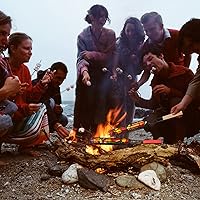 Vista 5 de Kabob - Juego de 6 cestas antiadherentes para parrilla y 6 brochetas de acero inoxidable, color naranja, 15.5 pulgadas, acero