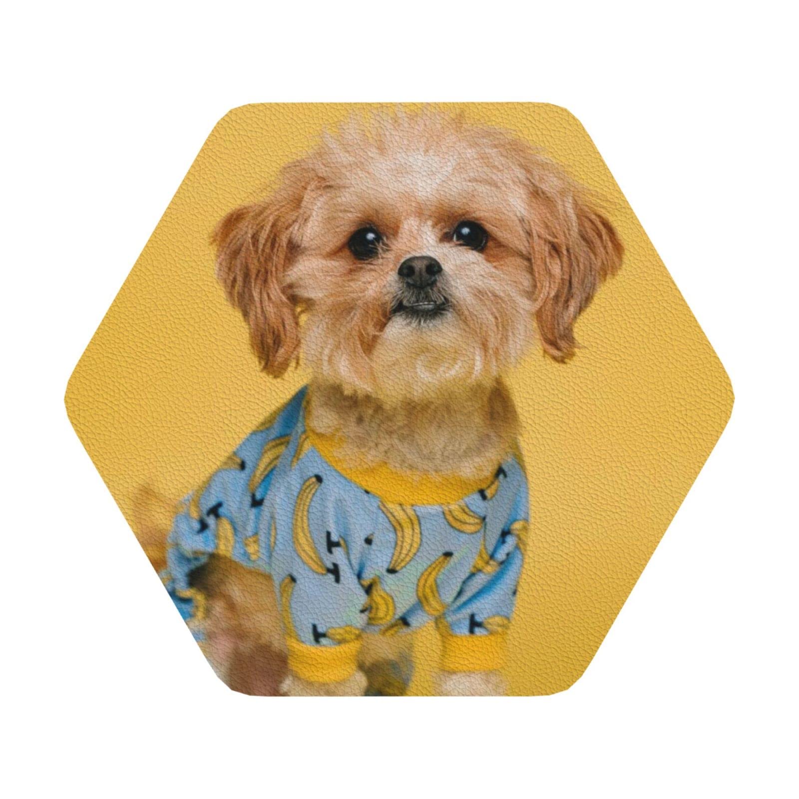 Custom Coasters for Drinks, Mitidi Personalized Absorbent Drink Coasters Set 6 Pcs, Special Housewarming Gifts for New House Funny Gifts for Men Women (Hexagon)