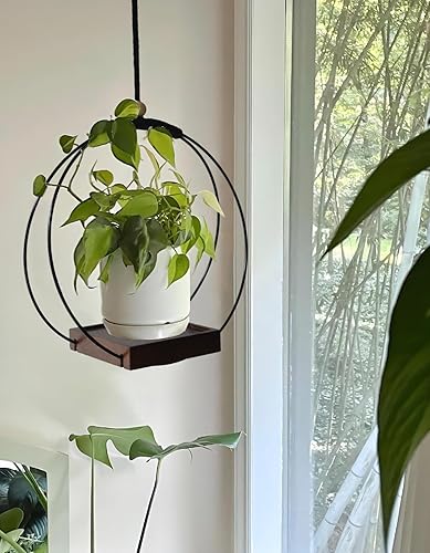 Miniatura 3 de Dravmola Maceta colgante  Soporte colgante para plantas de interior para decoración de pared de ventana (marrón, 1 unidad)
