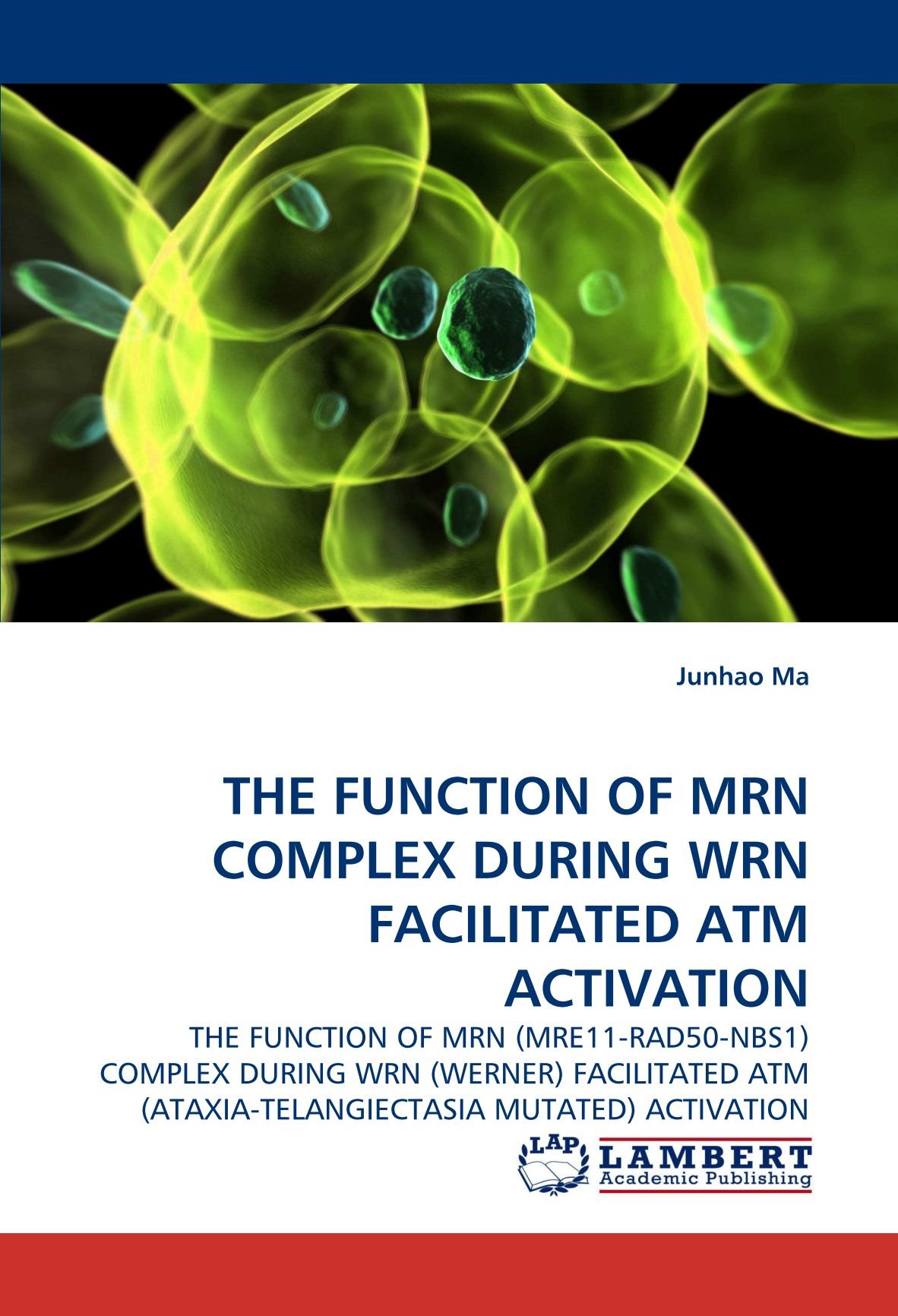 THE FUNCTION OF MRN COMPLEX DURING WRN FACILITATED ATM ACTIVATION: THE FUNCTION OF MRN (MRE11-RAD50-NBS1) COMPLEX DURING WRN (WERNER) FACILITATED ATM (ATAXIA-TELANGIECTASIA MUTATED) ACTIVATION