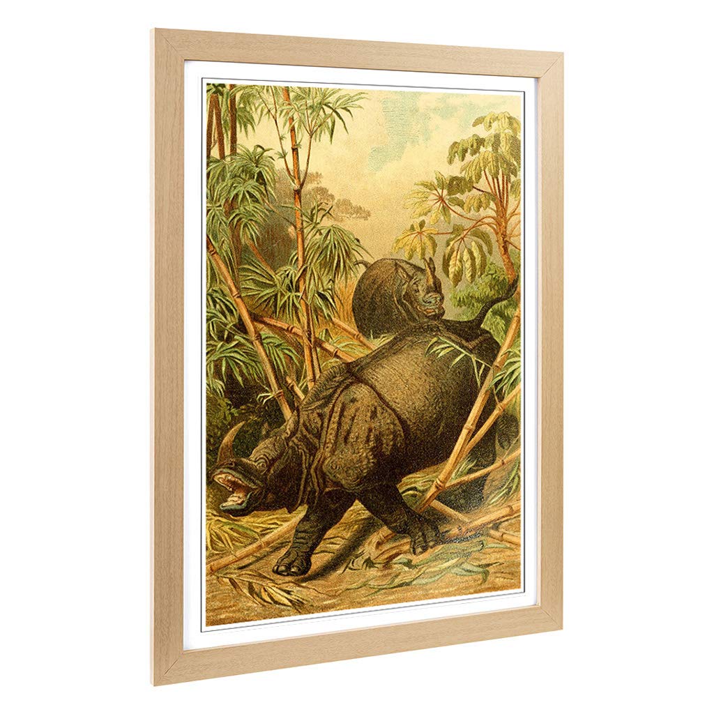 Big Box Art Framed Print of Vintage Brehms Tierlben Rhinocerous Design | Wall Art Picture | Home Decor for Kitchen, Living Room, Bedroom, Hallway, Oak, A2 / 24.5x18 Inch / 62x45cm