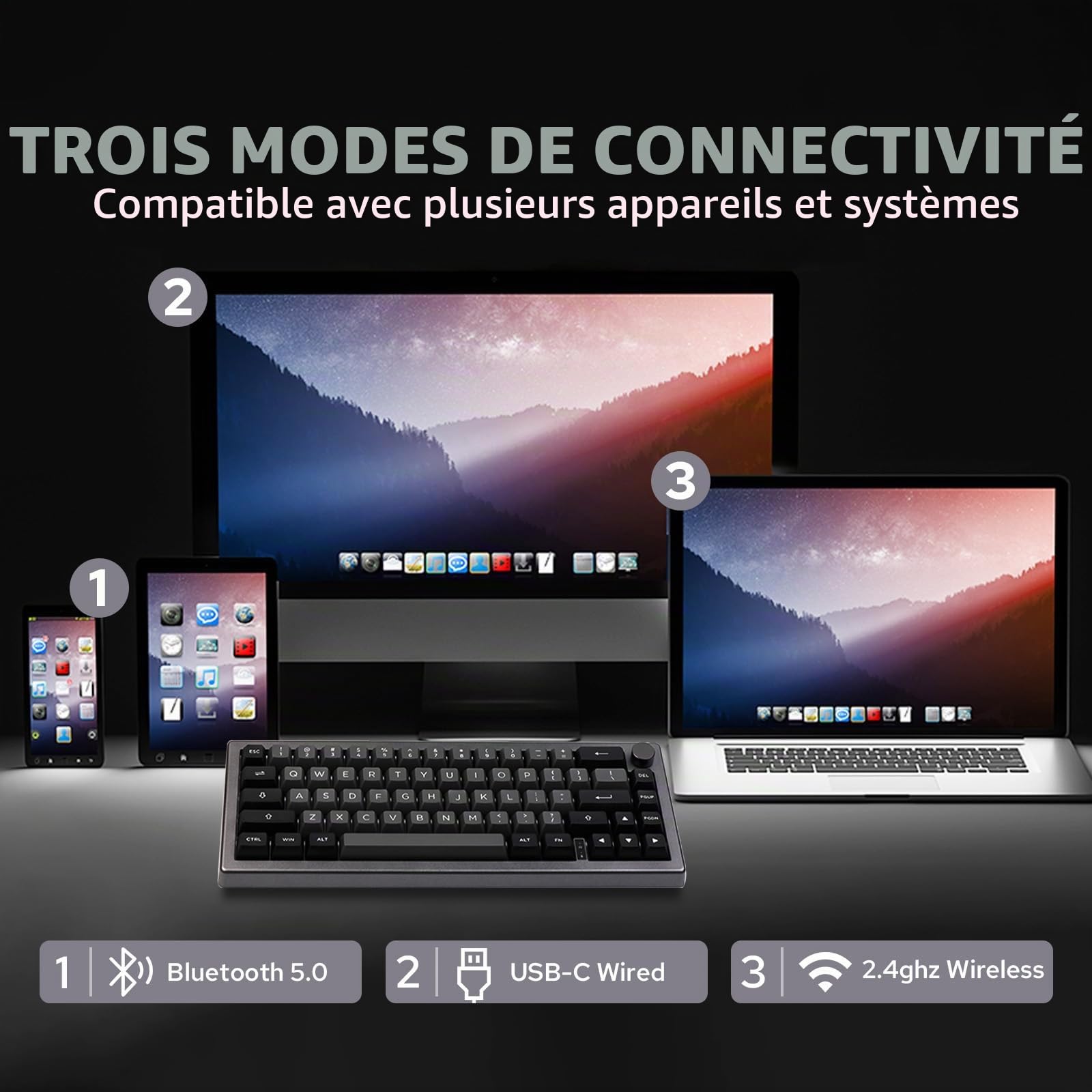 EPOMAKER EK68 Clavier Mécanique SansFil/Bluetooth/USB-C. Clavier 65% avec Batterie 3000mAh, Bouton de Volume, RGB, HotSwap, pour Gaming/Bureau/PC/Mac/Linux ((US) Argent Noir, Wisteria Linear Switch)