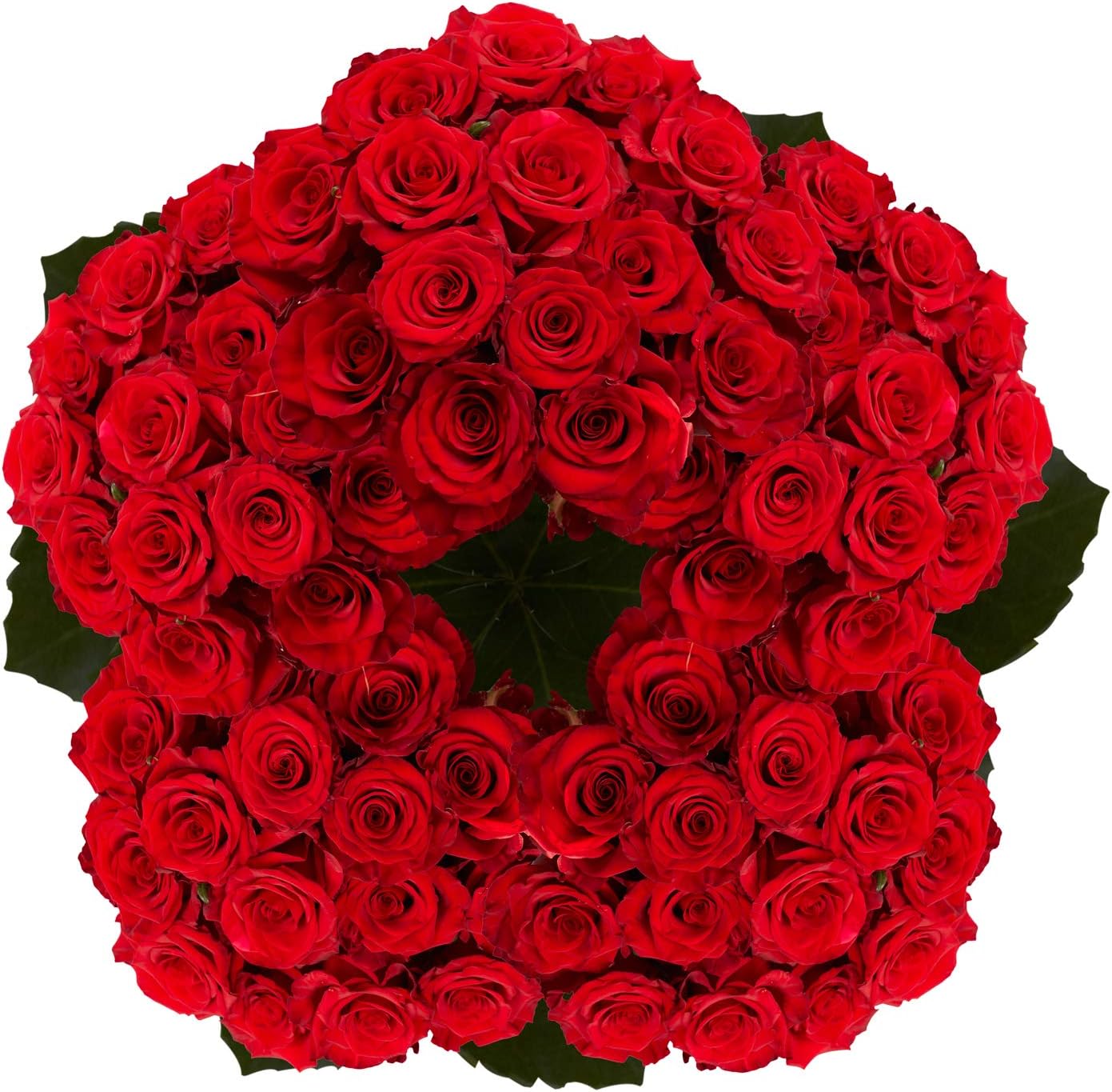 GlobalRoseFresh Cut Red Roses - 250 (10 Bundles of 25) Fresh Flowers - Real Flowers Fresh Bouquet for Wedding, Birthday, Anniversary, Bridal Shower, or Home Decor - Fresh Cut Flowers Delivery Gift