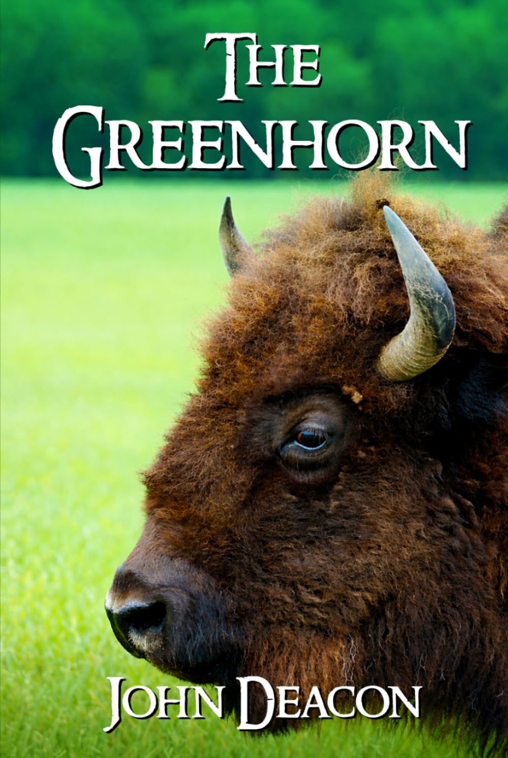 The Greenhorn (Fletch and Faith)