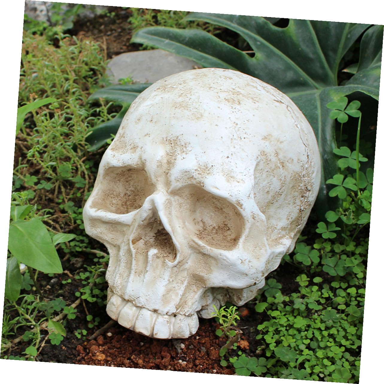 VALICLUD Halloween Resin Skull Table Centerpiece Decoration Human Skeleton Head Ornament for Party Photo Prop And Desktop Decor