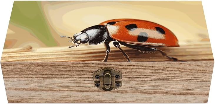Wooden Storage Box Orange Ladybug on Beige Background Wood Gift Box with Hinged Lid Vintage Decorative Jewelry Boxes Memory Box for Jewelry Art Hobbies Home Storage Treasure Keepsake Gift 7.9x3.9x