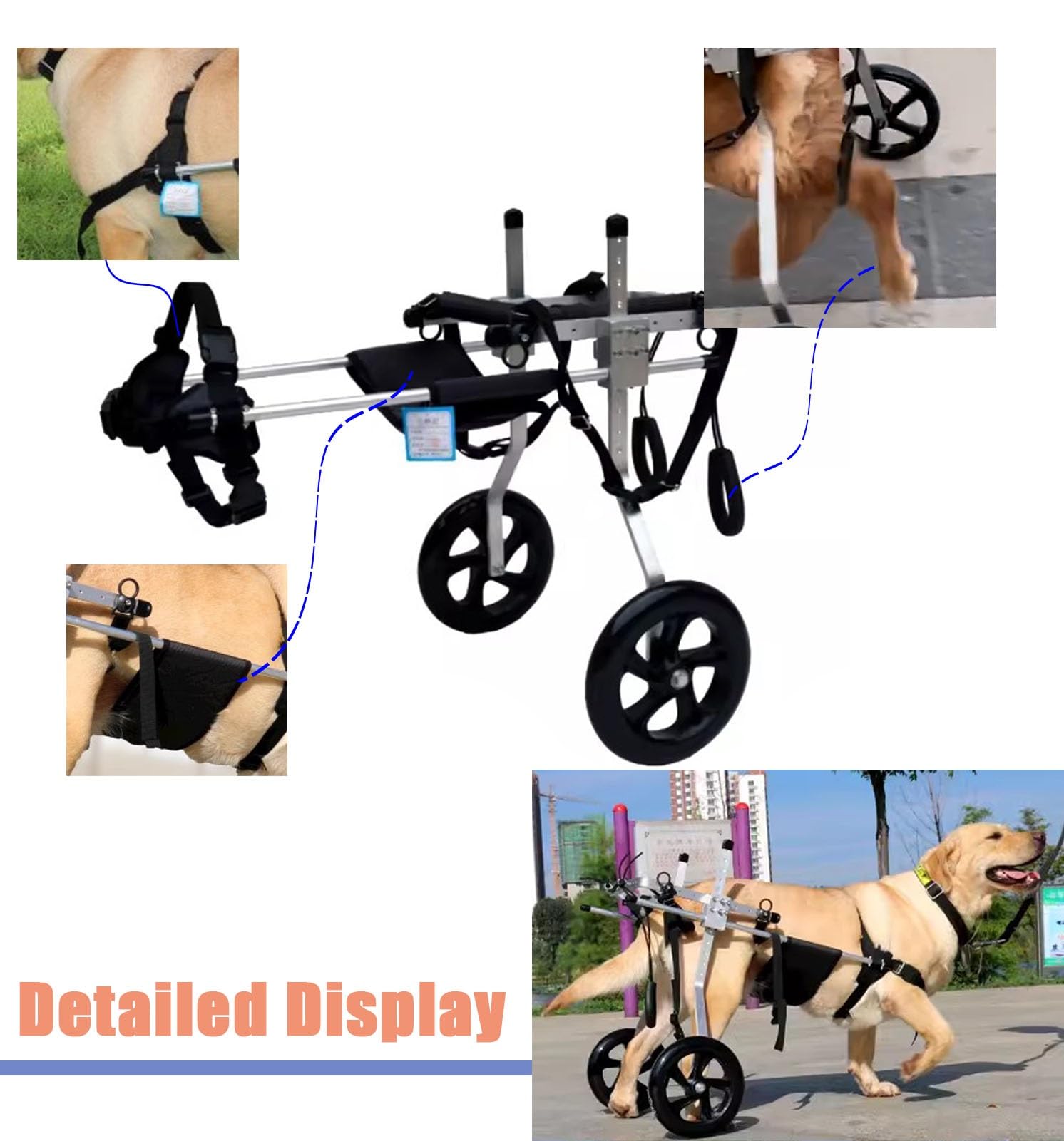 Amazon.com: Dog Wheelchair Mobility Aids Wheelchairs for Back Legs