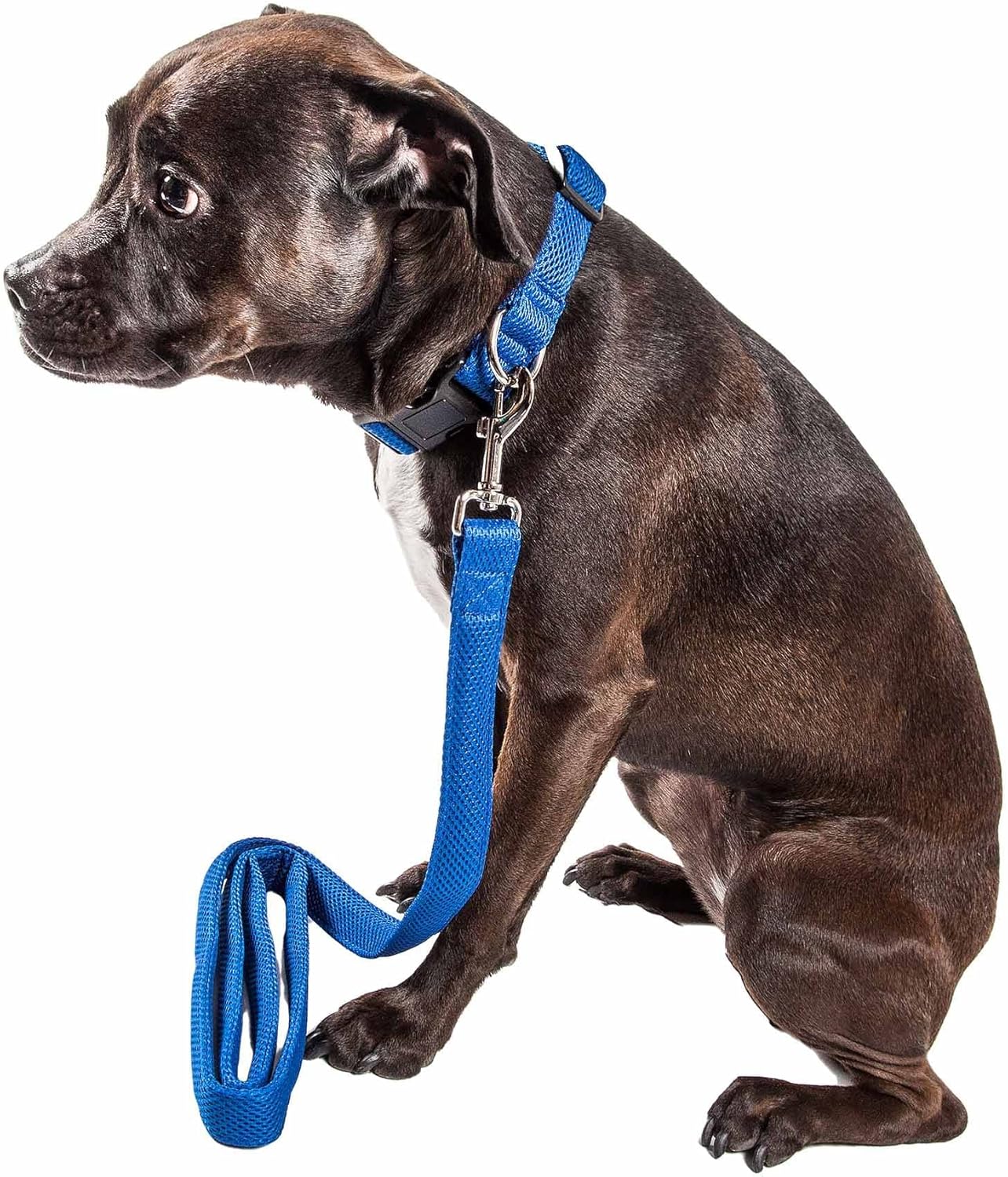 Pet Life ® 'Aero Mesh' 2-in-1 Dual Sided Comfortable and Breathable Adjustable Mesh Dog Leash and Collar Combination