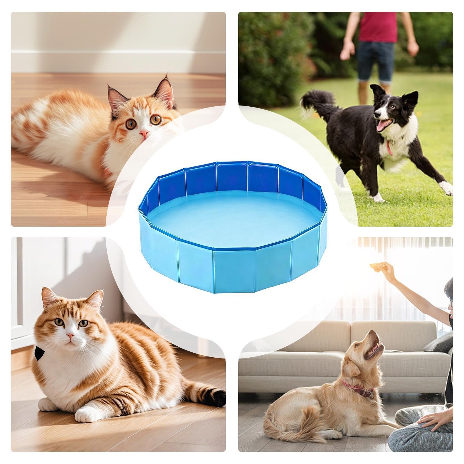 Piscina Pequeña Palangana de Baño Portátil Plegable Antideslizante 120 x 30 | Bañera Dura Para Mascotas para Interior y Exterior Hogar y Jardín Baño Niños Cachorros Gatos
