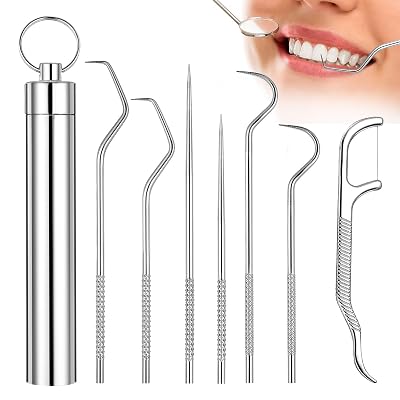 Gozaqe 7 Pcs Stainless Steel Dental Floss Toothpicks Set With Aluminum Tube - Portable Teeth Cleaning Picks Flosser for 