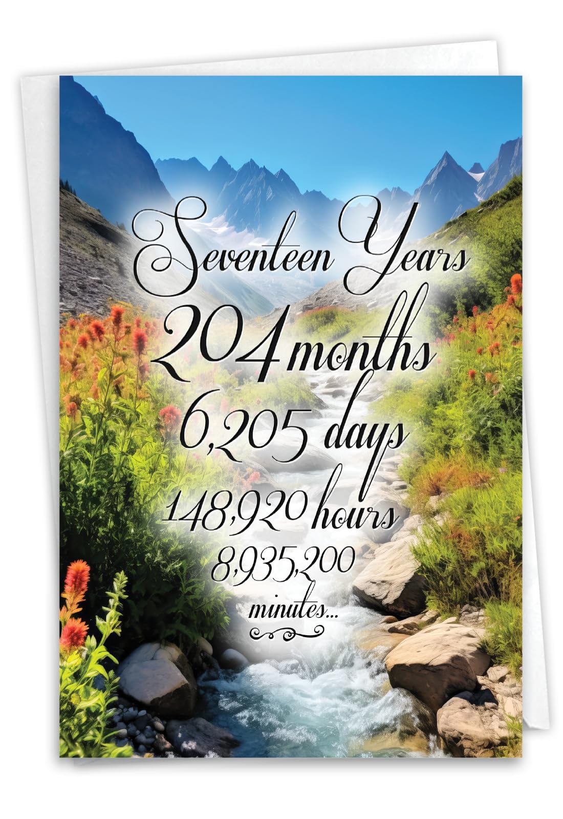 NobleWorks, 17th Anniversary Recovery Greeting Card with 5 x 7 Inch Envelope (1 Card) Milestone Sobriety Birthday Notecard, 17 Year Time Count C10810AAG — image 1