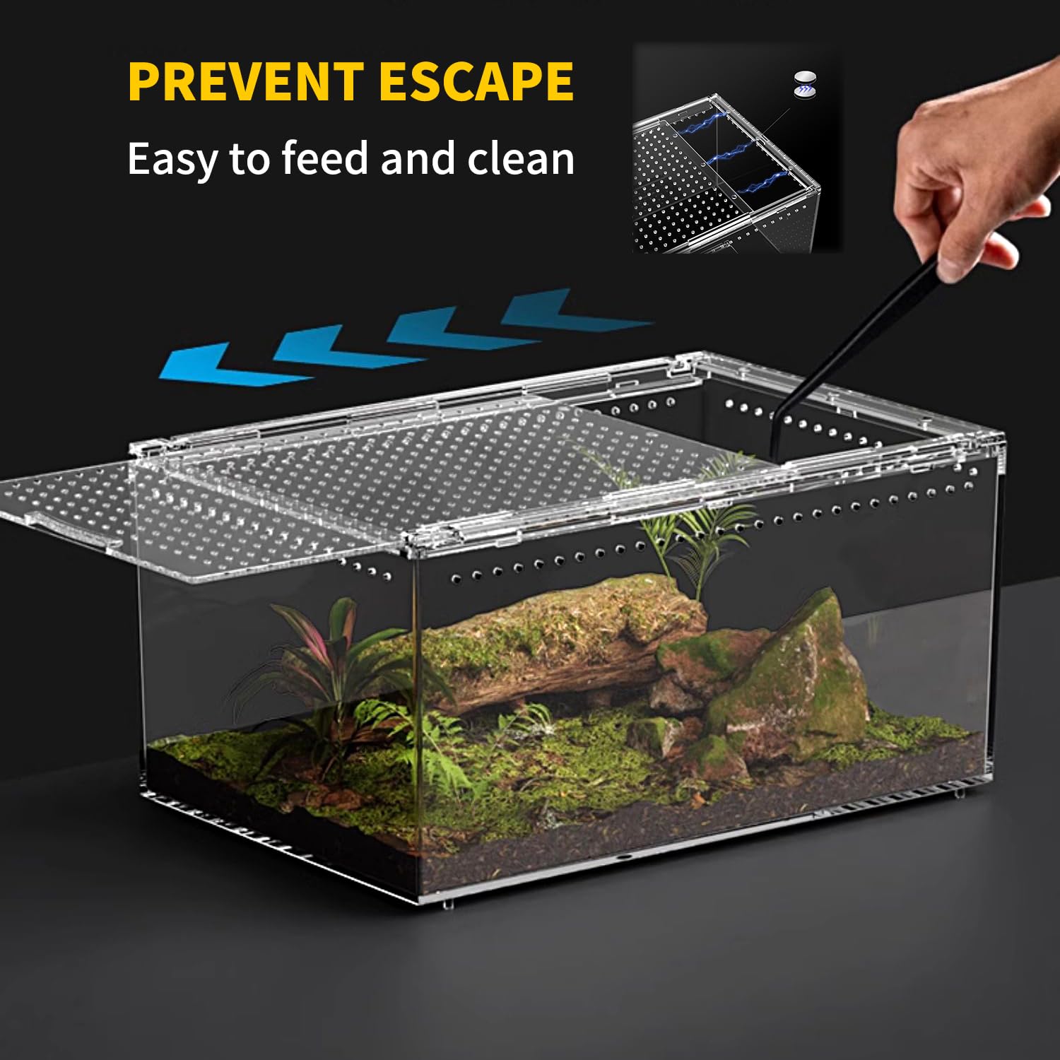 Amazon | Reptile Growth 【組み立て不要】マグネットボタン付き爬虫類