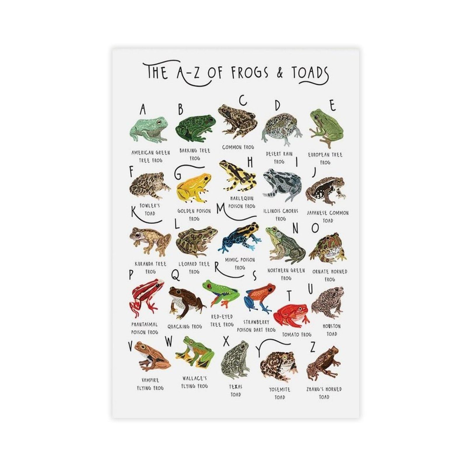 A-Z of Frogs & Toads Canvas Poster Bedroom Decor Landscape Office Room Decor Gift 20x30inch(50x75cm)