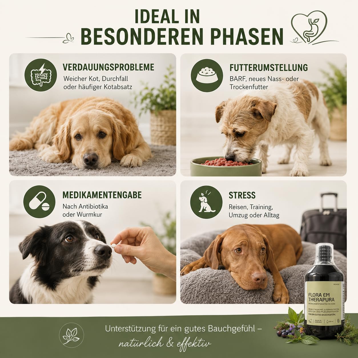 Flora EM Therapura Probiotikum für Hunde 500ml flüssig – Darmflora Aufbau mit 21 fermentierten Kräutern, Mikroorganismen & Pflanzenextrakten – Natürliche Verdauung Hund - Made in Germany