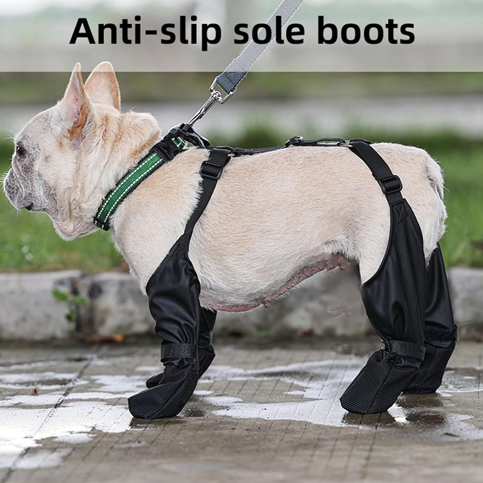 Stivali per Cani con Leggings, Stivali per Zampe per Cani da Esterno, Scarpe Impermeabili per Cani per Passeggiate Invernali all'aperto in Giornate Innevate (S)