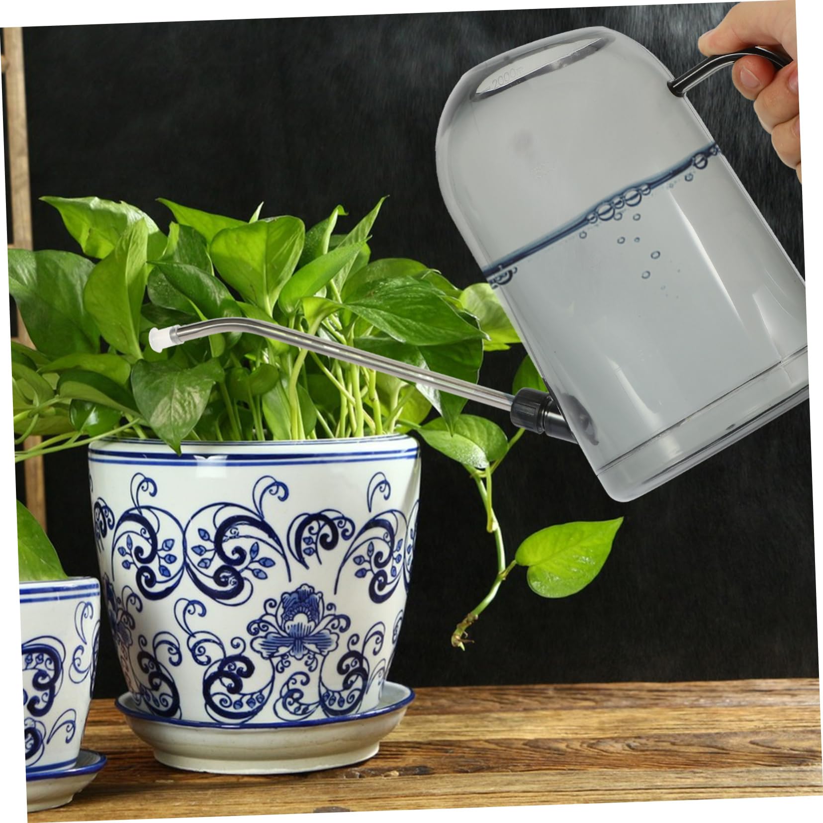 Annaffiatoio da Giardinaggio 2l Beccuccio lungo Abs e Acciaio Inox