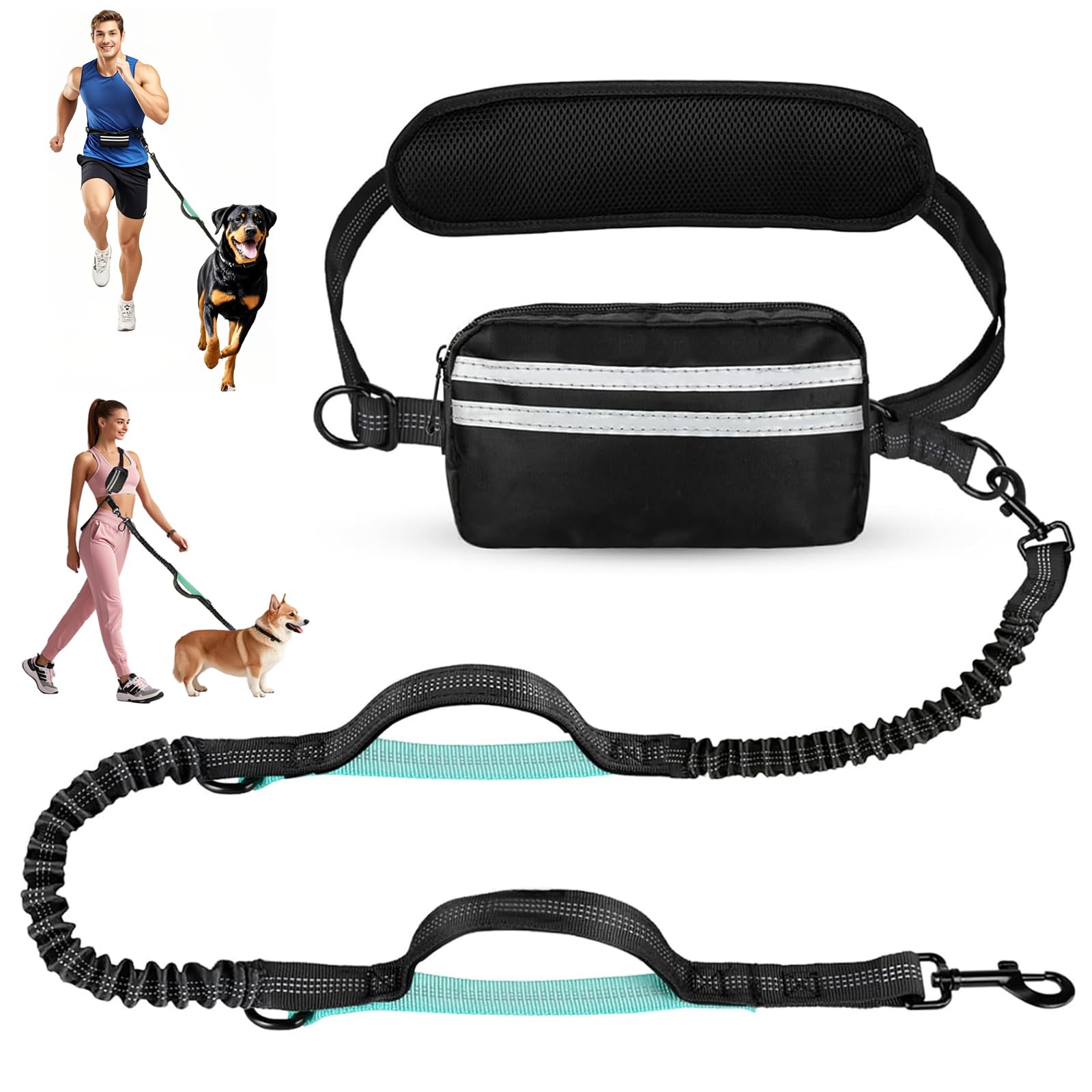 Ceinture lombaire running grand chien et laisse bungee réfléchissante