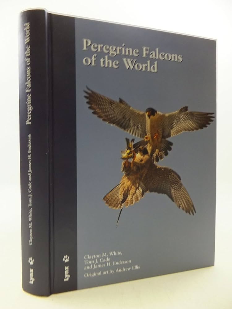 Peregrine Falcons of the World by White, Clayton M., Cade, Tom J Peregrine Falcons of the World by White, Clayton M., Cade, Tom J