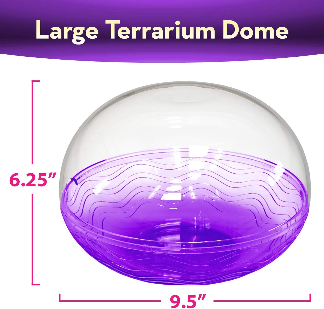 Little Growers Unicorn Terrarium Kit for Kids with Rainbow Fairy Lights and Paintable Figurines - Plant and Grow Light Up Garden - Science and Craft Kits for Girls and Boys - STEM Age Gifts and Toys : Toys & Games