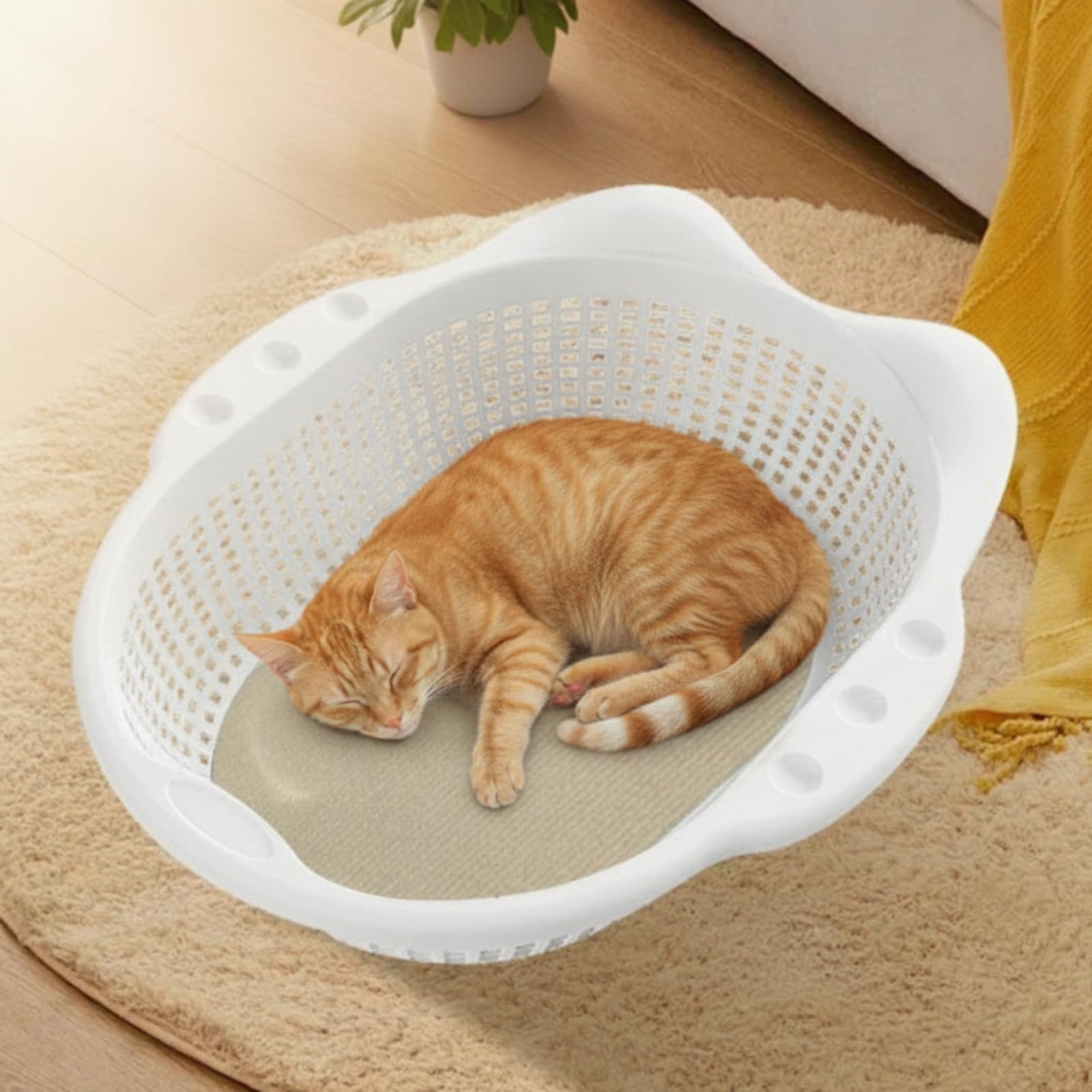 Panier Aéré Lavable pour Chats, Petits Chiens, Intérieur, Salon, Gris