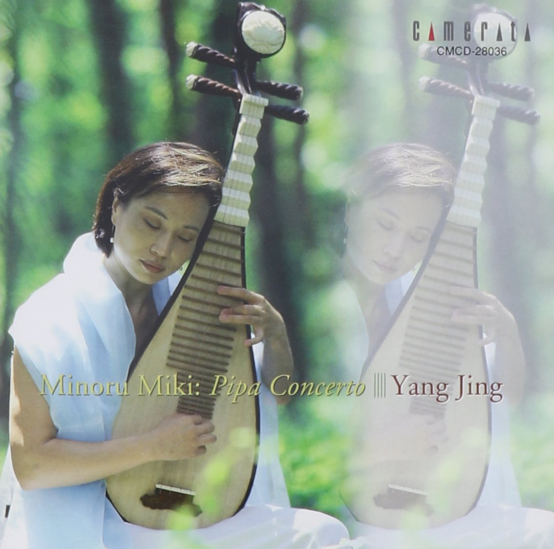 Pipa Concerto